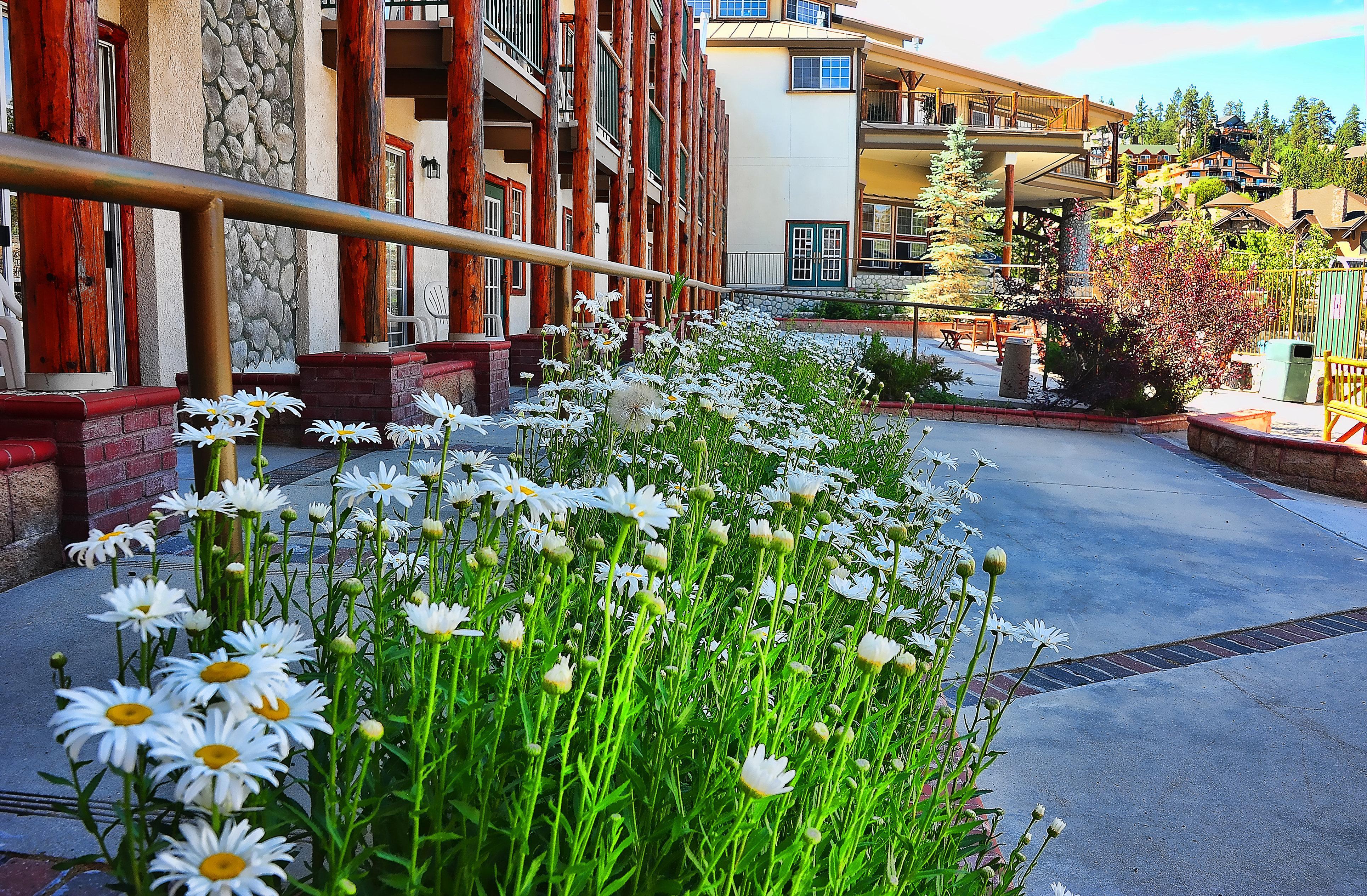 Holiday Inn Resort The Lodge At Big Bear Lake By Ihg Eksteriør bilde